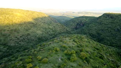 20 Acres on Hill Past Kisamis at Per 450kacre - Image 3