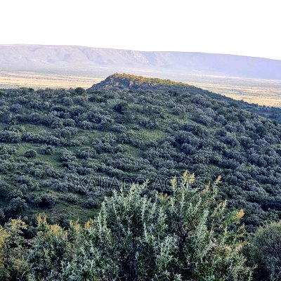 20 Acres on Hill Past Kisamis at Per 450kacre - Image 1