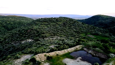20 Acres on Hill Past Kisamis at Per 450kacre - Image 8