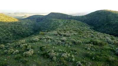 20 Acres on Hill Past Kisamis at Per 450kacre - Image 9