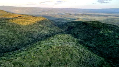20 Acres on Hill Past Kisamis at Per 450kacre - Image 7