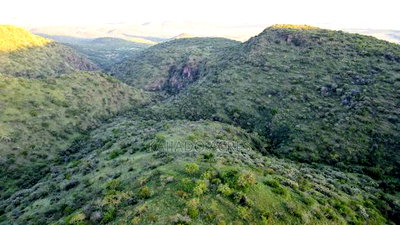 20 Acres on Hill Past Kisamis at Per 450kacre - Image 2