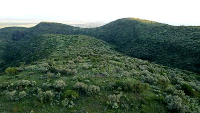 20 Acres on Hill Past Kisamis at Per 450kacre - Image 5