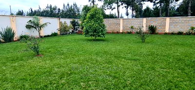 5bdrm Bungalow in Elgonview for sale - Image 8