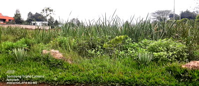 1-Acre Runda Plot with Garden at KSh 140M