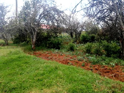 Land on Sale at Limuru Kinyogori Kiambu - Image 2