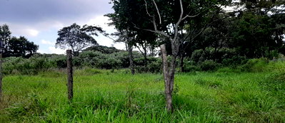1-Acre Garden Plot in Karen