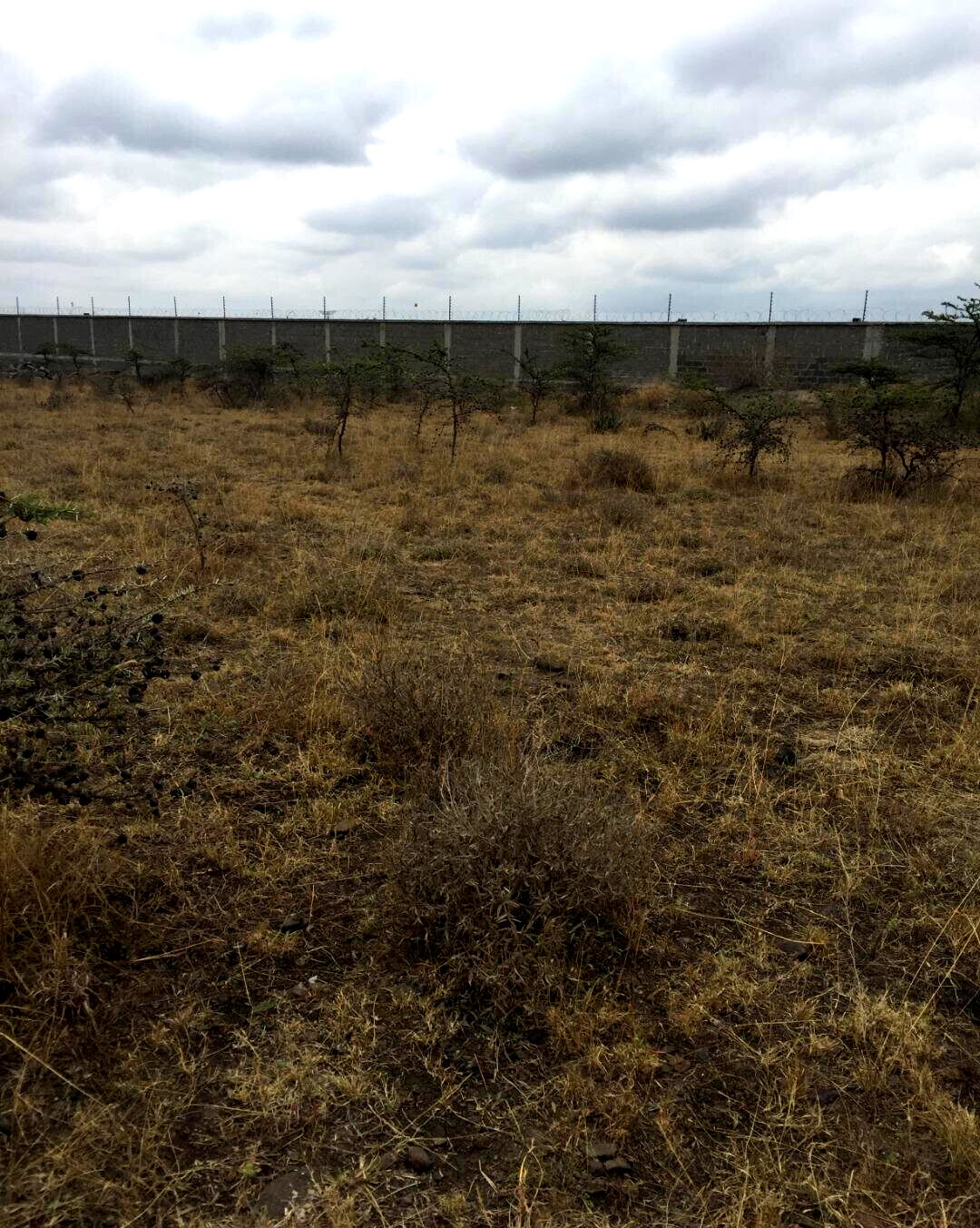 1/4 Acre Syokimau Plot at KSh 23M