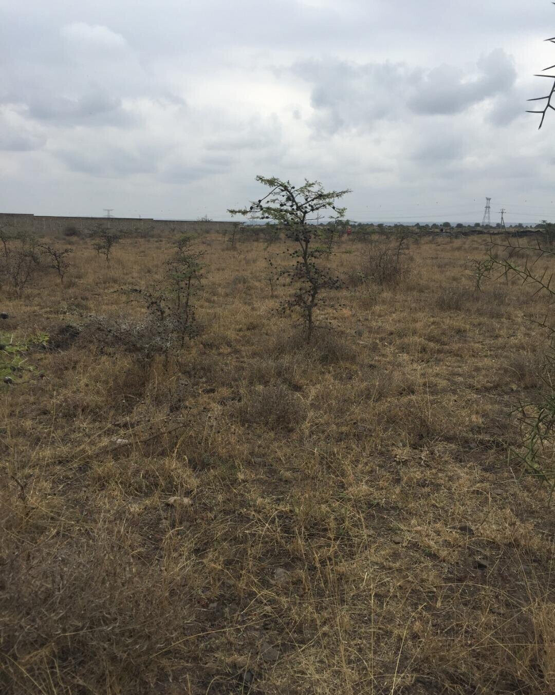 1/4 Acre Syokimau Plot at KSh 23M