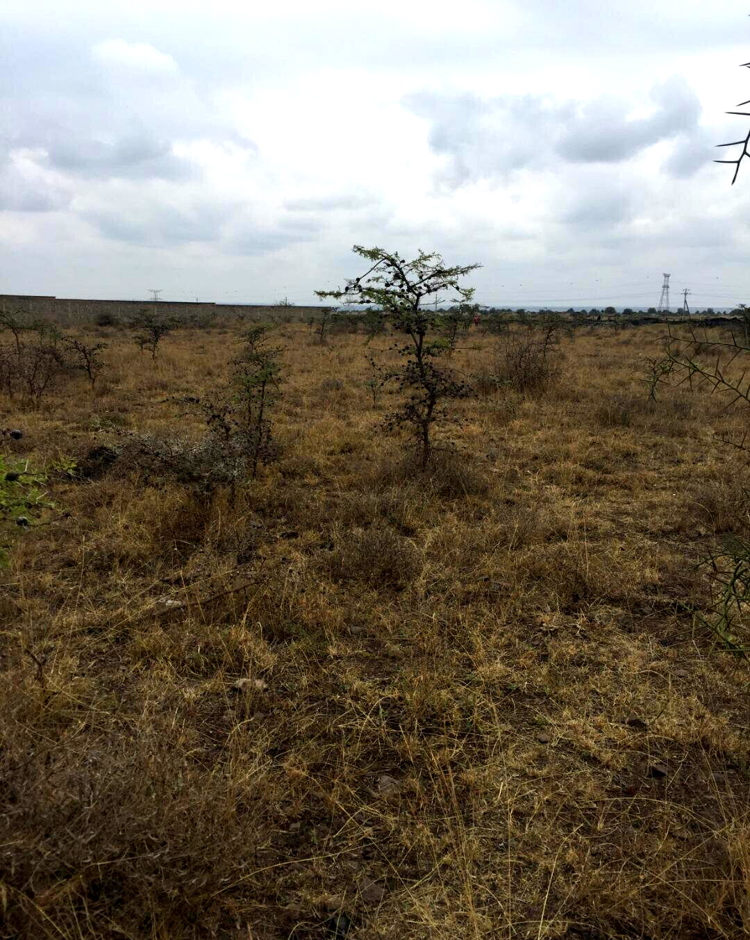 1/4 Acre Syokimau Plot at KSh 23M