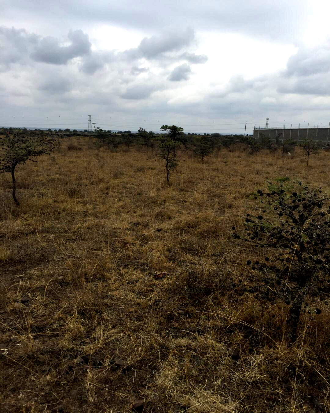 1/4 Acre Syokimau Plot at KSh 23M