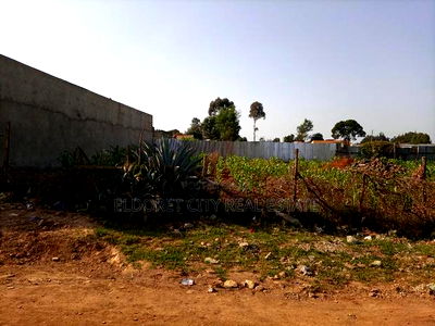 1/8 Kimumu With Title - Image 1