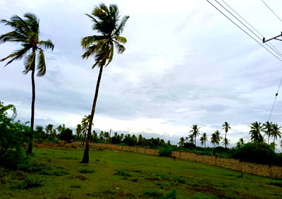 6-Acre Garden Plot with Parking - Malindi