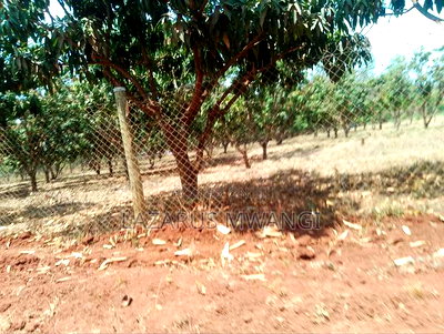 2 Acres of Land Touching River Tana Near Makutano - Image 17