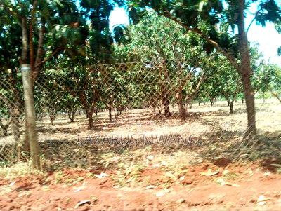 2 Acres of Land Touching River Tana Near Makutano - Image 20