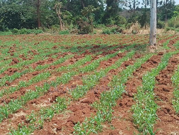 2 Acres of Land Touching River Tana Near Makutano