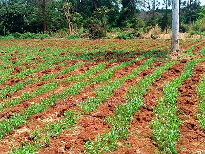 2 Acres of Land Touching River Tana Near Makutano - Image 6