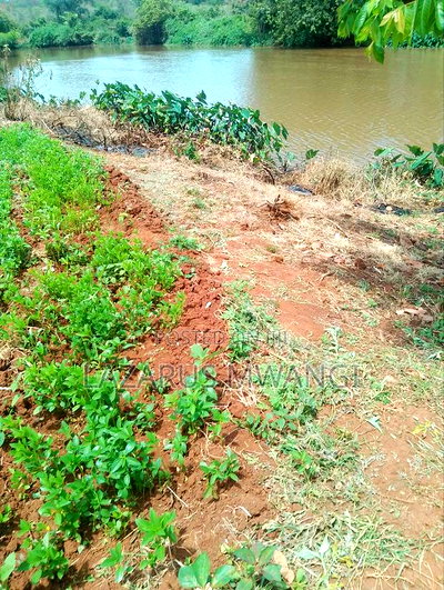 2 Acres of Land Touching River Tana Near Makutano - Image 4