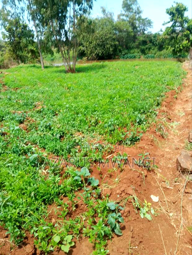 2 Acres of Land Touching River Tana Near Makutano