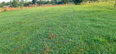 8 Plots for Sale in Simat Kipkenyo in Eldoret - Image 1