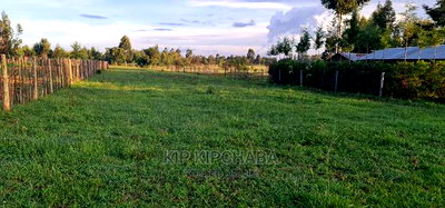 8 Plots for Sale in Simat Kipkenyo in Eldoret - Image 6