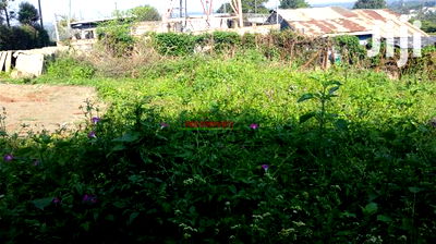 Commercial 50 by 100 Ft Plot for Sale in Kikuyu Thogoto. - Image 9