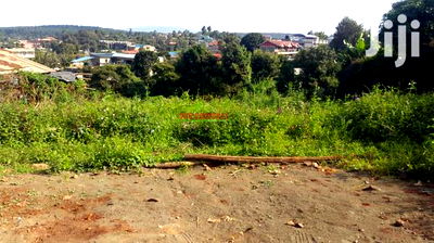 Commercial 50 by 100 Ft Plot for Sale in Kikuyu Thogoto. - Image 10