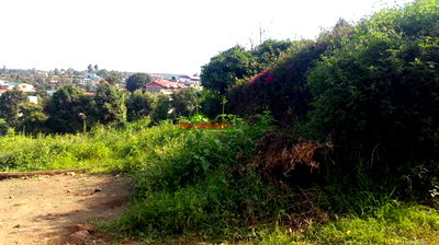 Commercial 50 by 100 Ft Plot for Sale in Kikuyu Thogoto. - Image 6