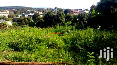 Commercial 50 by 100 Ft Plot for Sale in Kikuyu Thogoto. - Image 7