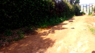 Commercial 50 by 100 Ft Plot for Sale in Kikuyu Thogoto. - Image 2