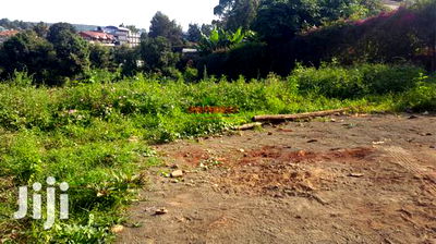 Commercial 50 by 100 Ft Plot for Sale in Kikuyu Thogoto. - Image 8