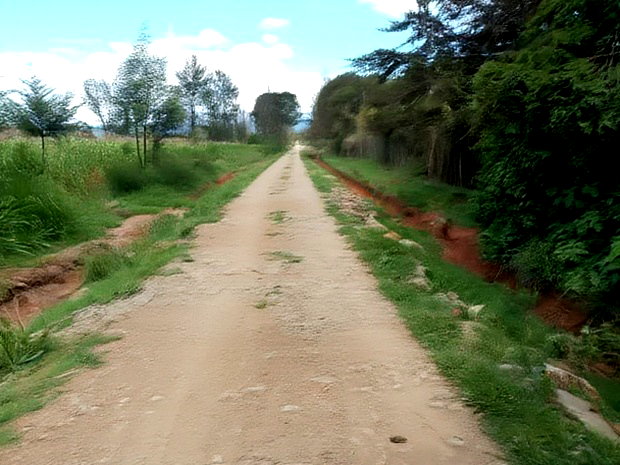 Very Prime Plots in Kasuku