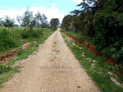 Very Prime Plots in Kasuku - Image 3