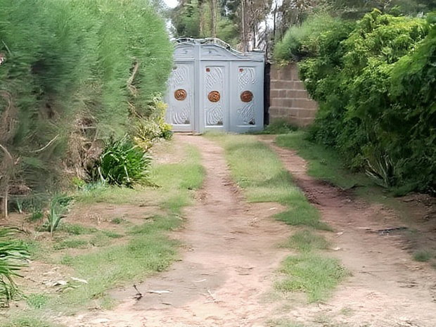 Very Prime Plots in Kasuku