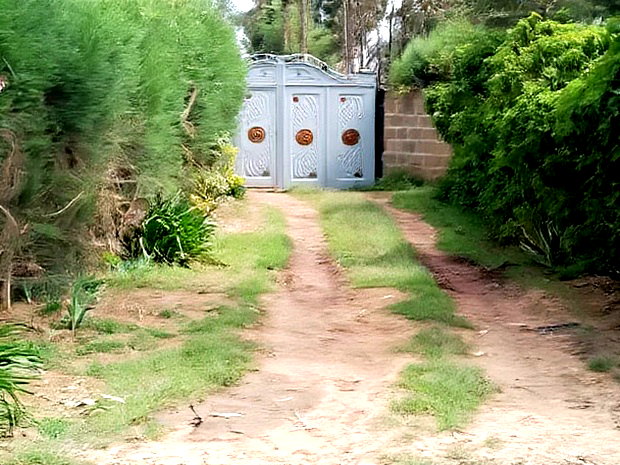 Very Prime Plots in Kasuku