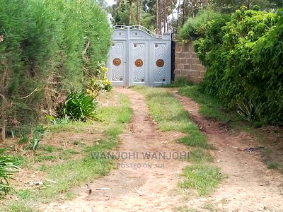 Very Prime Plots in Kasuku - Image 1