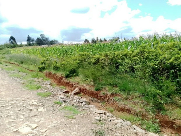 Very Prime Plots in Kasuku