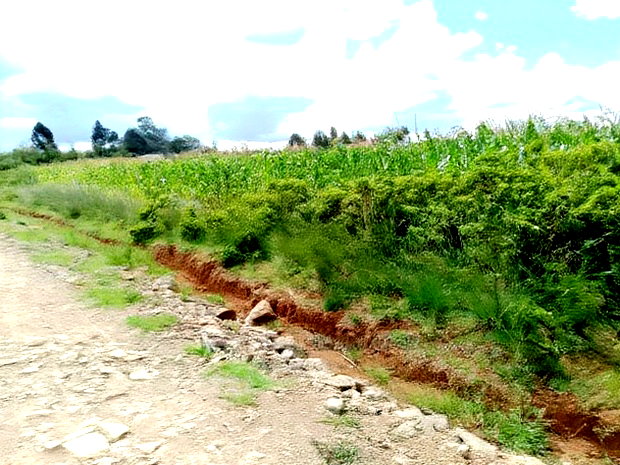 Very Prime Plots in Kasuku