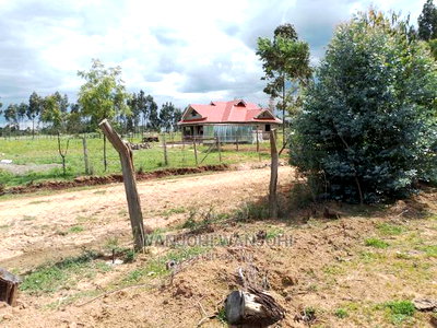 Very Prime Plots in Kasuku - Image 8