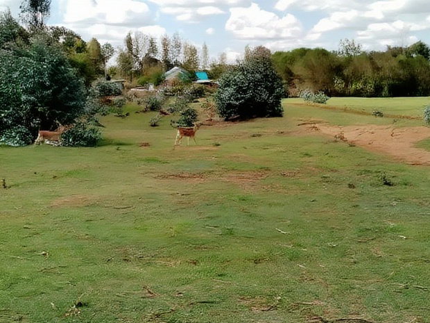 Very Prime Plots in Kasuku