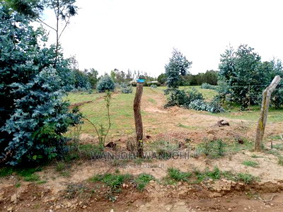 Very Prime Plots in Kasuku - Image 9