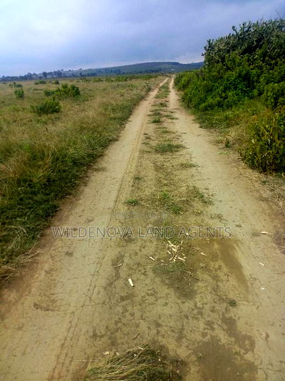 2 Acre on Sale at Mirera Naivasha Near Mt Longonot - Image 1