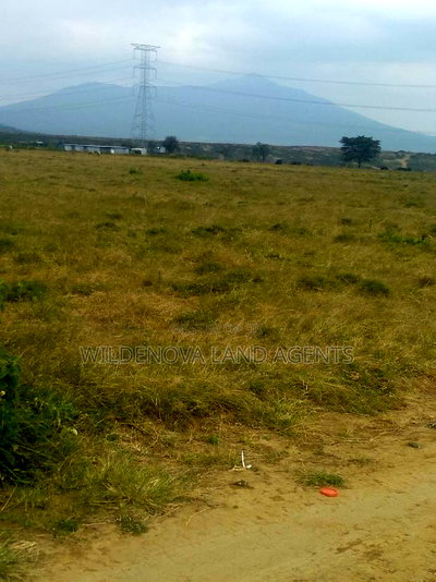 2 Acre on Sale at Mirera Naivasha Near Mt Longonot - Image 2