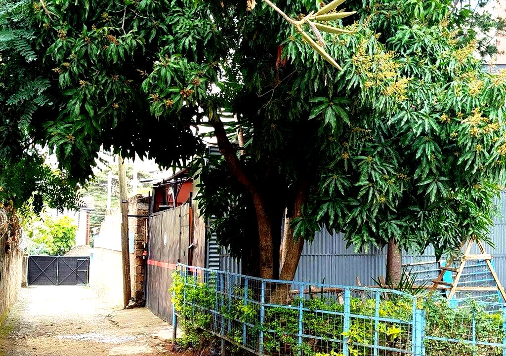 Upperhill Plot for KSh 55M