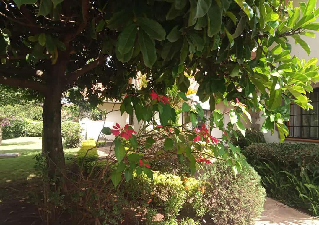 4-Bed Townhouse on Half-Acre with Wooden Floors – Karen