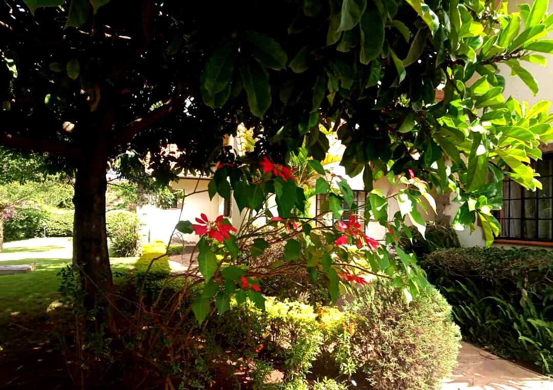 4-Bed Townhouse on Half-Acre with Wooden Floors – Karen