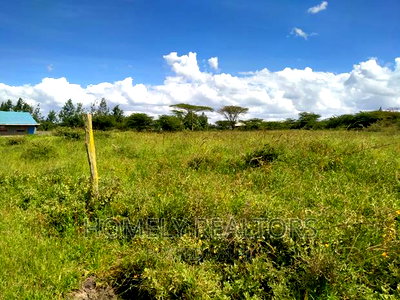 1 Acre Piece of Land in Kiserian GP. Residential or Farming - Image 1