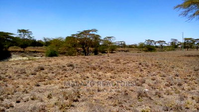 10 Acres of Land for Sale in Isinya - Image 3
