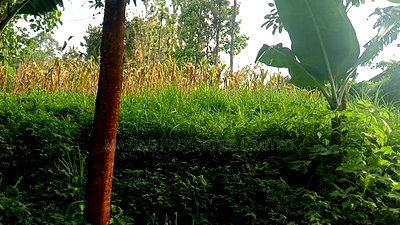 3bdrm House in Ikonyero, Sheywe for sale - Image 8