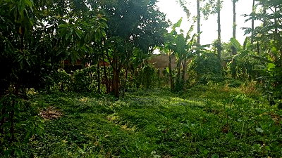 3bdrm House in Ikonyero, Sheywe for sale - Image 5